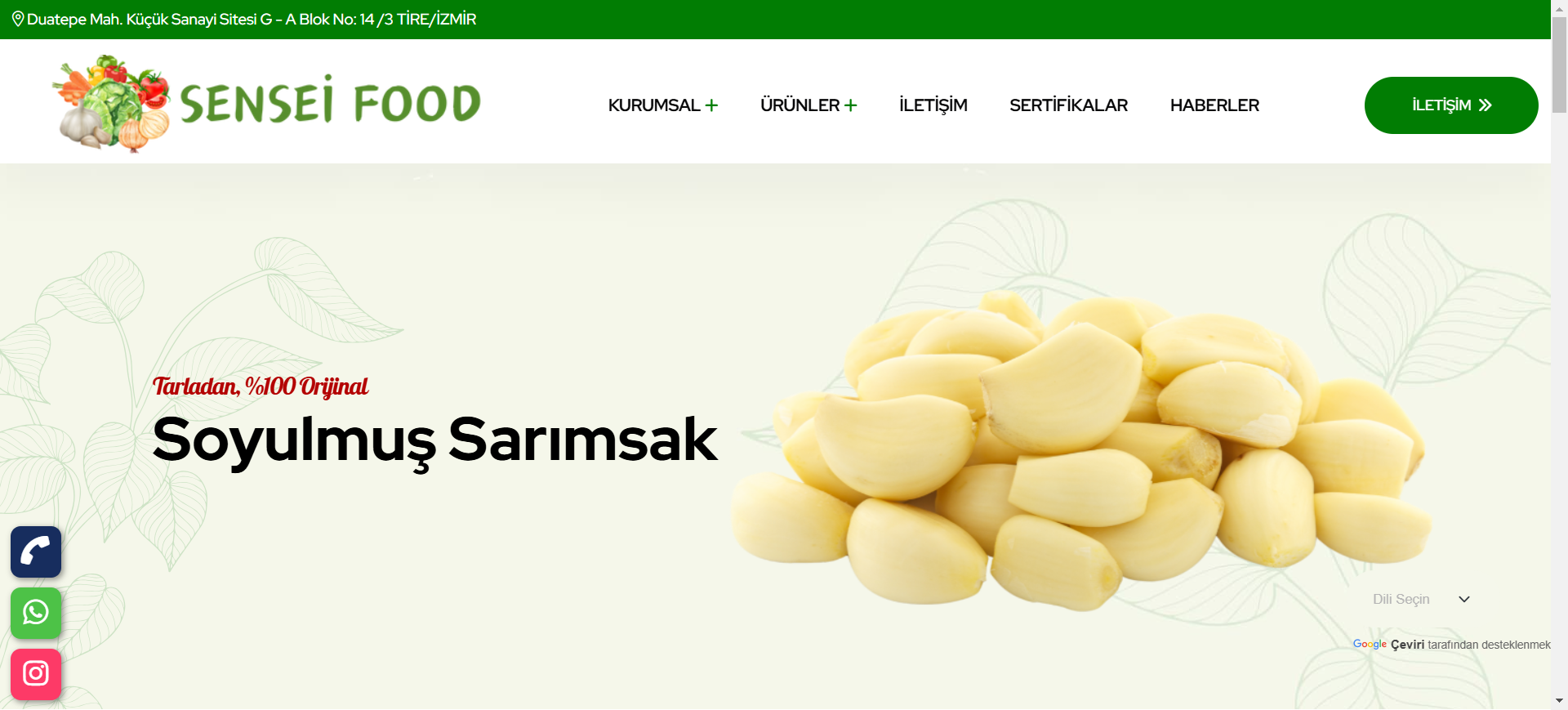 Sensei Food - Web Site Projesi